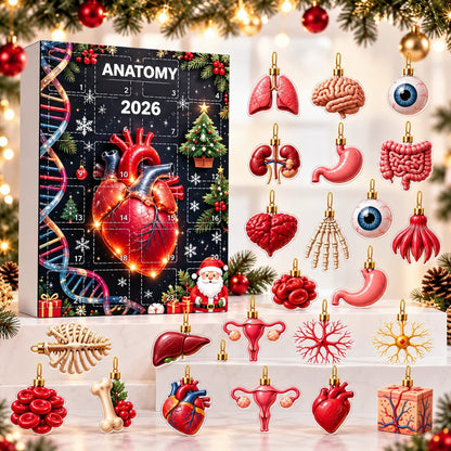 Loriova™ Anatomy Advent Calendar