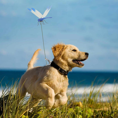 Dragonfly Clip Bug Repe Llent