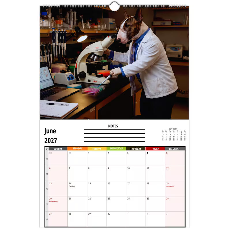 🤣Bull Terriers at Work 2027 Wall Calendar – 12 Months of Professional Puppy Chaos