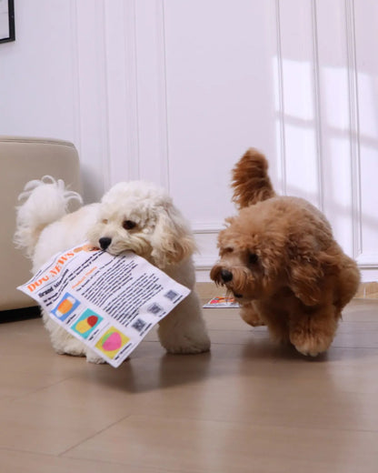 🔥Crinkle Newspaper Dog Toy for Boredom Relief, Interactive Chew Toy for Dogs