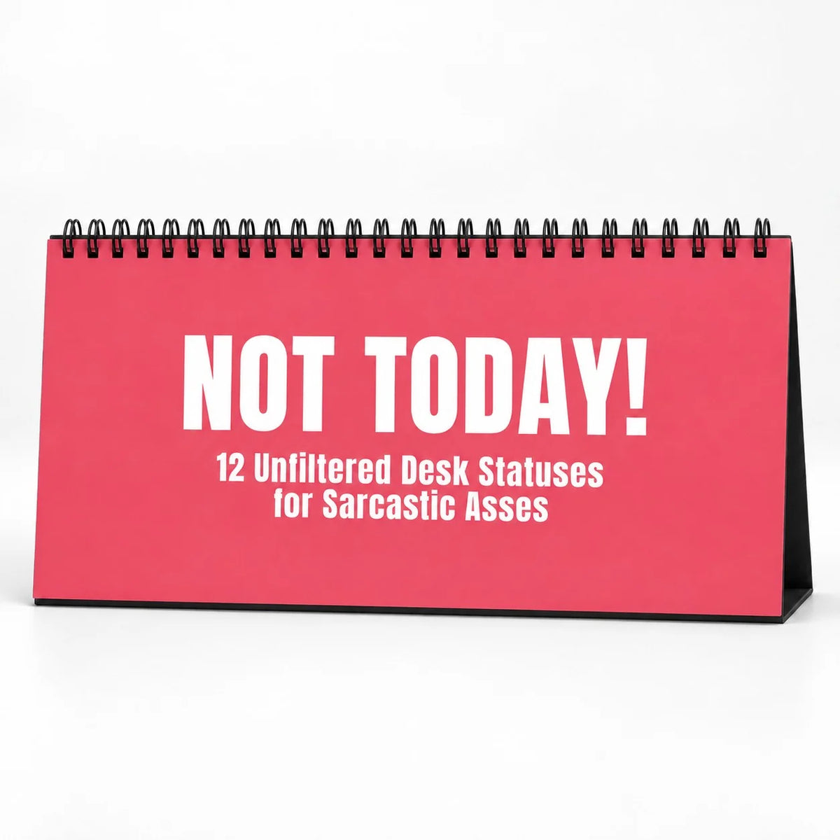 NOT TODAY! Unfiltered Desk Status Flip Sign — 12 Messages