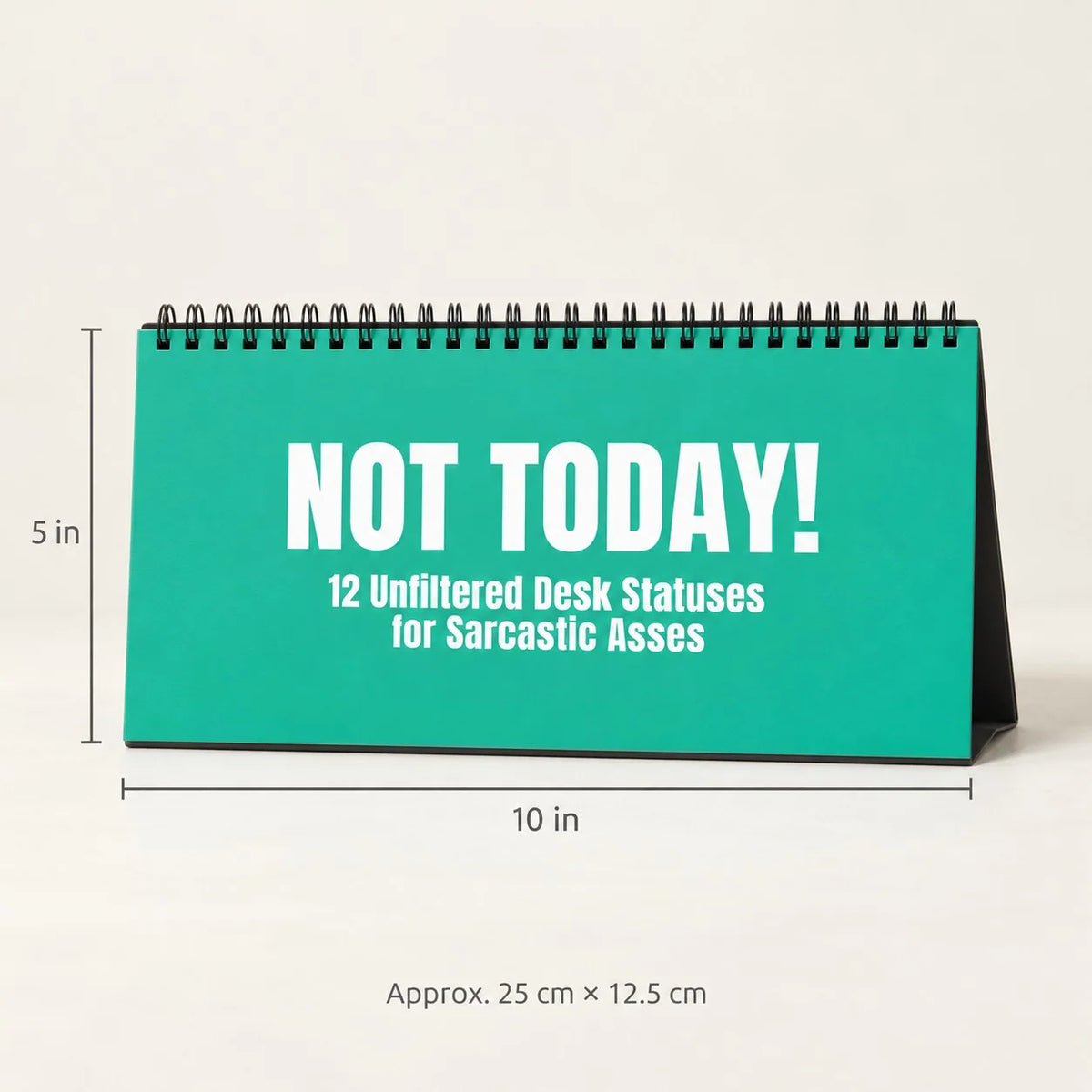 NOT TODAY! Unfiltered Desk Status Flip Sign — 12 Messages