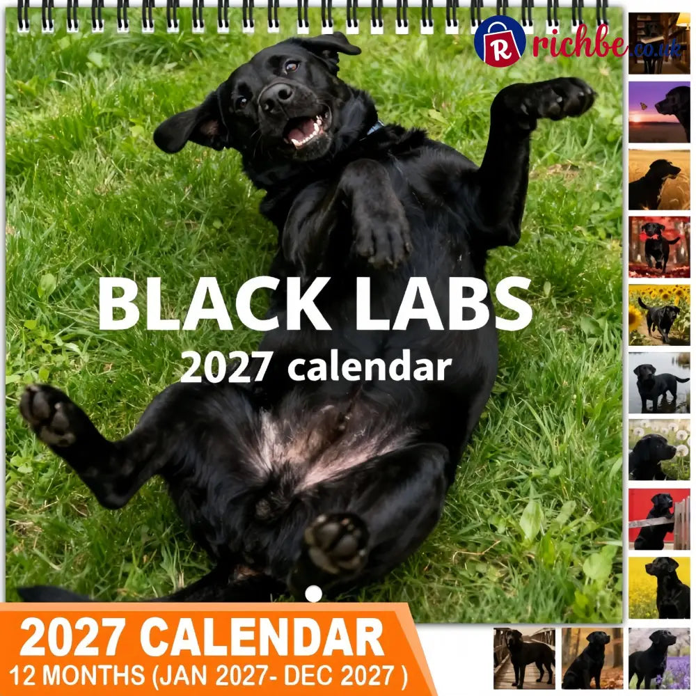 🐾 Black Labs 2027 Wall Calendar, 12 Months of Loyal Looks & Happy Tails - 2027 CALENDAR📅