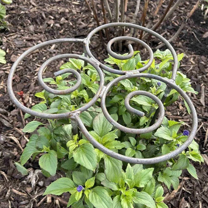 Plant Support